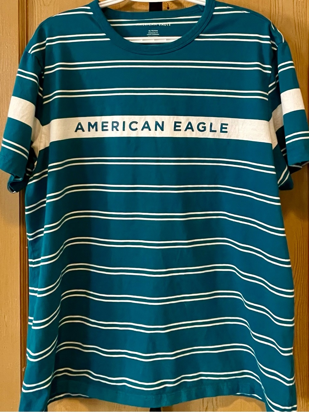 American Eagle Outfitters Teal and White Striped Crew Neck Tee